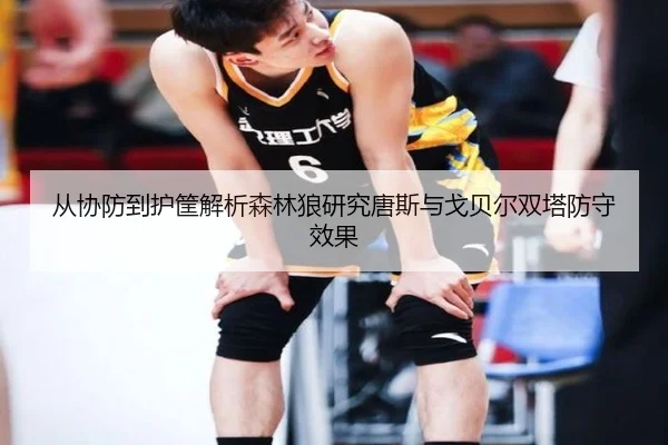 从协防到护筐解析森林狼研究唐斯与戈贝尔双塔防守效果