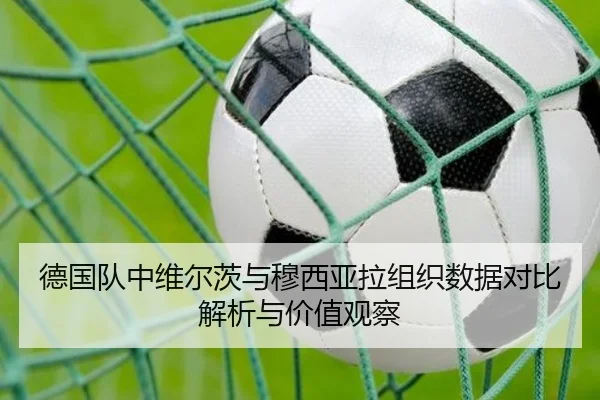 德国队中维尔茨与穆西亚拉组织数据对比解析与价值观察 - kaiyun